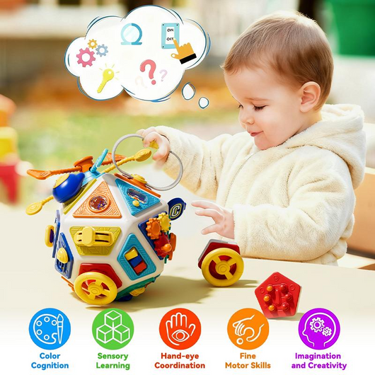Baby Montessori Ball Activity Toy