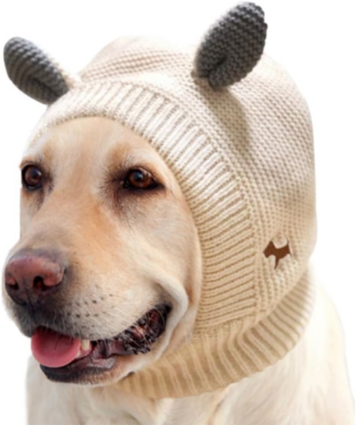 Noise Protection Dog Hat