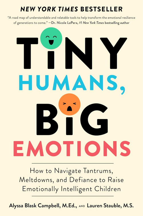 Tiny Humans, Big Emotions Book