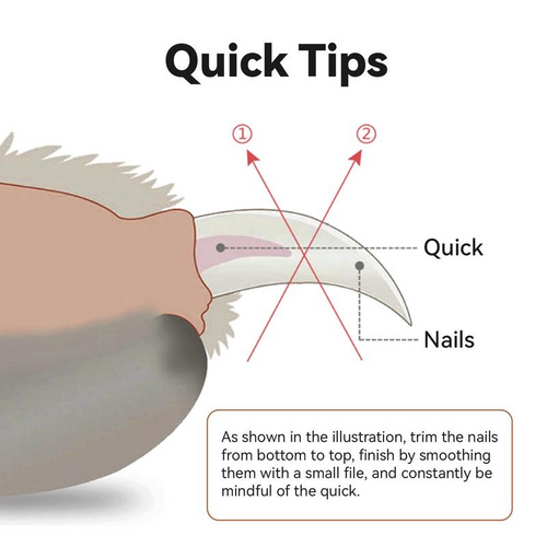 PawGlow LED Nail Clipper