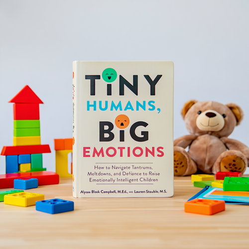 Tiny Humans, Big Emotions Book